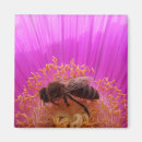 Suche nach bee magnete Quelle