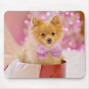 Suche nach tierbild mousepads Niedlich