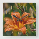 Suche nach daylily Floral