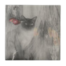 Suche nach dekor fliesen Für sie