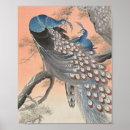 Suche nach pfauen poster Asiatisch