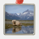 Suche nach braunbär ornamente Alaska