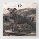 Suche nach skateboard wanduhren Für alle