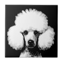 Suche nach retro chic fliesen Jede person