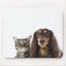 Suche nach japanische katze mousepads Katzenliebhaber