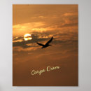 Suche nach karpfen poster Sonnenaufgang