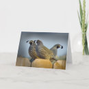 Suche nach wachteln karten Tiere