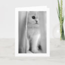 Suche nach aussage karten Für alle