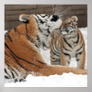 Suche nach hugs poster Tiere