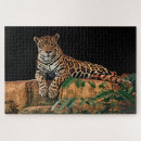 Suche nach jaguar puzzle Punkte