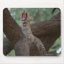 Suche nach atmen mousepads Tier