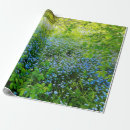 Suche nach vergissmeinnicht geschenkpapier Botanisch