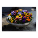 Suche nach viola karten Gelb