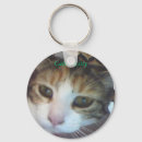 Suche nach kaliko Miezekatze