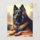 Suche nach belgische postkarten Hund