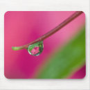 Suche nach wassertropfen mousepads Rosa