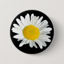 Suche nach kamille buttons Blume
