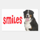 Suche nach berner sennenhund aufkleber Welpe