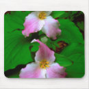 Suche nach christopher mousepads America