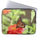 Suche nach 13 taschen Schmetterling