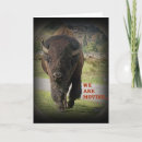 Suche nach bison einladungen Natur