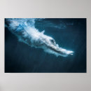 Suche nach taucher poster Unterwasser