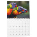 Suche nach vögel kalender Papagei