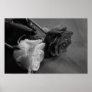 Suche nach schwarzweiss poster Mit blumen