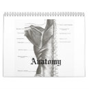 Suche nach anatomie kalender Schädel