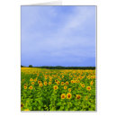 Suche nach blumenfelder postkarten Natur