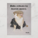 Suche nach scottish postkarten Katzen