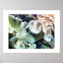 Suche nach toadstool poster Jede person
