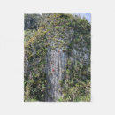 Suche nach klettern decken Felsen