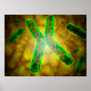 Suche nach genetisch poster Abstrakt