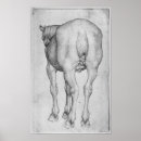 Suche nach cheval poster Pisanello