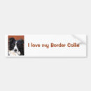 Suche nach in herden leben autoaufkleber Border collie