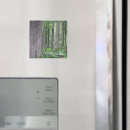 Suche nach oregon magnete Pazifischer nordwesten