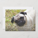 Suche nach big brother einladungen Neuerscheinung