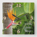 Suche nach kolibris wanduhren Jede person