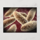 Suche nach cell postkarten Mikroorganismus