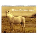 Suche nach reiter kalender Hengst