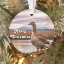Suche nach wasservogel ornamente Landschaft