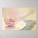 Suche nach soft poster Blumenreich