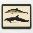 Suche nach delfin mousepads Fisch