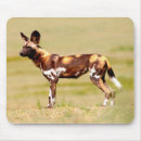 Suche nach stehender mousepads Farbbild