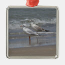 Suche nach möve ornamente Meer