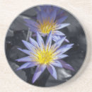 Suche nach waten untersetzer Schön