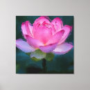 Suche nach lotus leinwandbilder Rosa