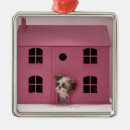 Suche nach die puppe der ornamente Tier