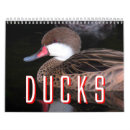 Suche nach küken kalender Vogel
